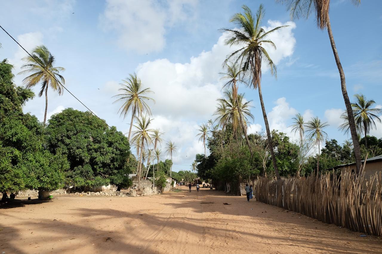 Centre Touristique Et Culturel Casamance Guest House Diakene Ouolof Exterior photo